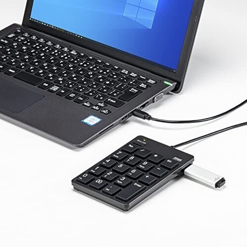 サンワサプライ USBテンキーType-Cコネクタ・USB2.0ハブ付き NT