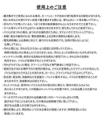 Nicedayナイスデイ ラグ アイボリー 190×240 約3畳 床暖房ホットカーペット対応、機能:蓄熱保温効果 34103308の通販はau  PAY マーケット - tlifeplus au PAY マーケット店 | au PAY マーケット－通販サイト