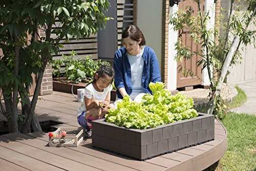 システムファーム組立て式花壇・菜園 60cm×90cm×2段 セット チャコール
