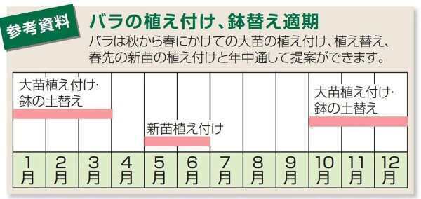 リッチェル バラ鉢 10号 ダークグリーン 5個組の通販はau PAY