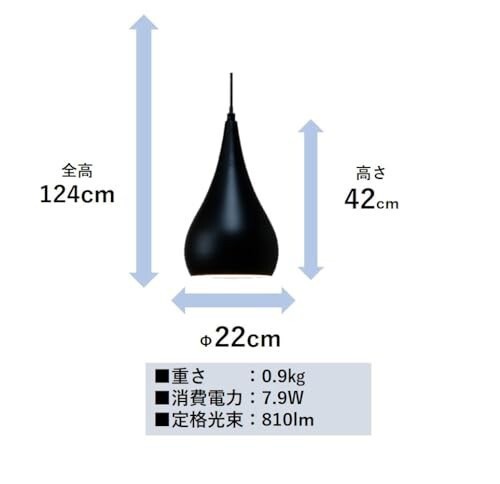 タキズミ Takizumi スチールセード ペンダントライト LED電球１灯付黒