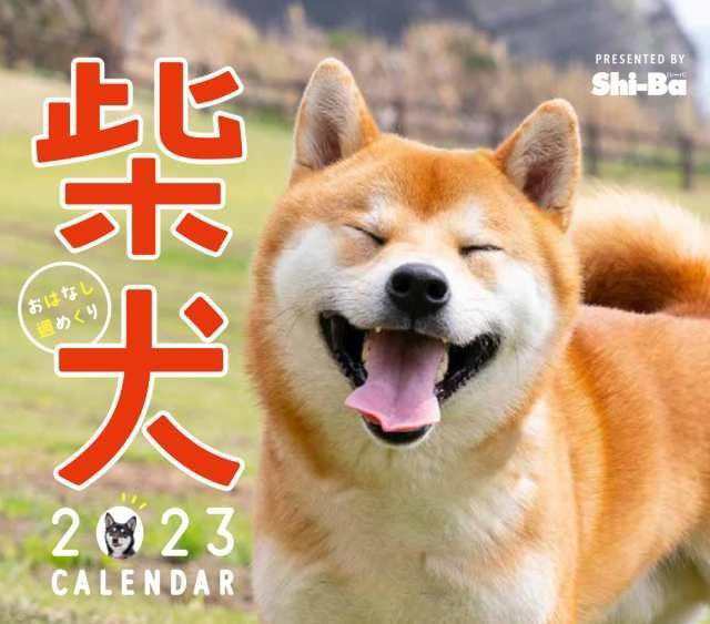 2023カレンダー 柴犬おはなし週めくり ([カレンダー])