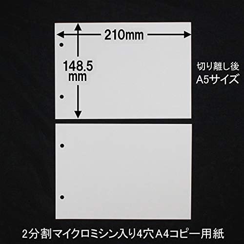 大王製紙 伝票用紙 A4 2分割ミシン入 4穴 2500枚 (500枚×5冊) JP10200166｜au PAY マーケット