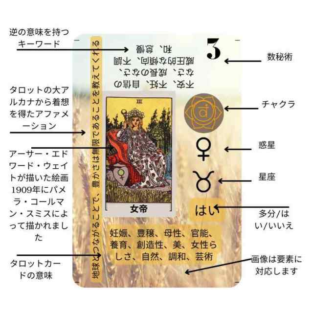 Amazon | タロットカード - 初心者向けの初心者向けタロット