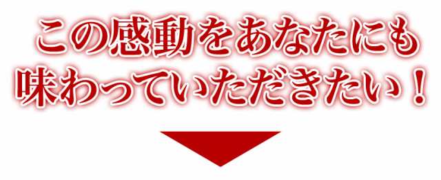 【クラブセットのみ】ブリヂストン ゴルフ ツアーステージ V562 クラブセット 12本組(1W,5W,4U,5U,6-P,PS,S,PT)  キャディバッグ無し【即納】｜au PAY マーケット