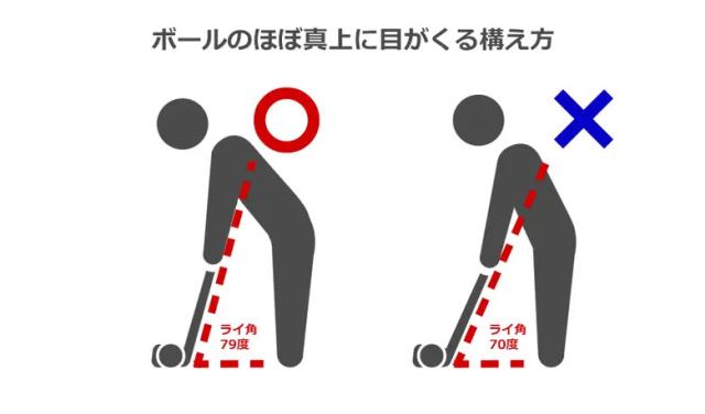 トゥルーロール ゴルフ ネオマレット型 センターシャフト パター Tru-Roll LA79【即納】の通販は
