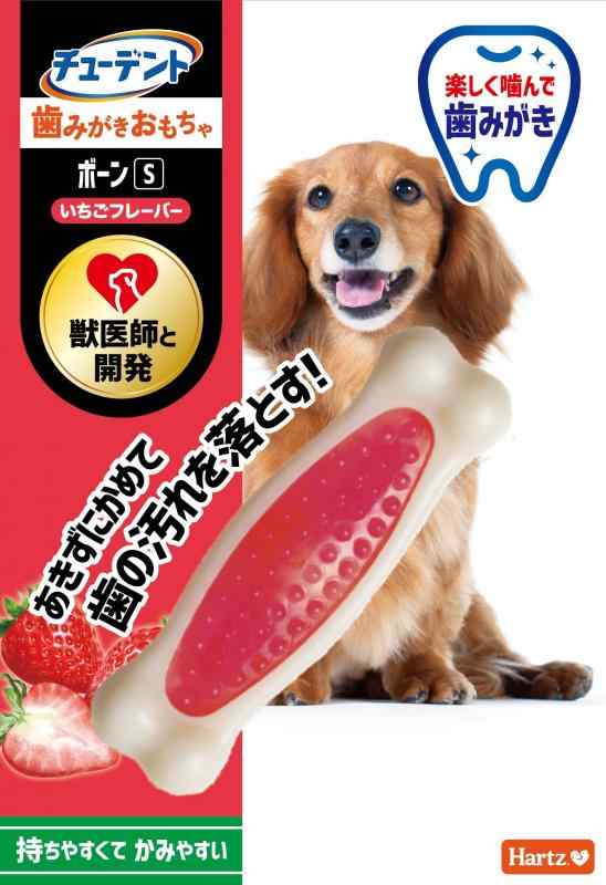 デンタルトイ ボーン 犬用おもちゃ 歯磨きおもちゃ S いちごフレーバー | ハーツ(Hartz) | デンタルケア | 歯みがき