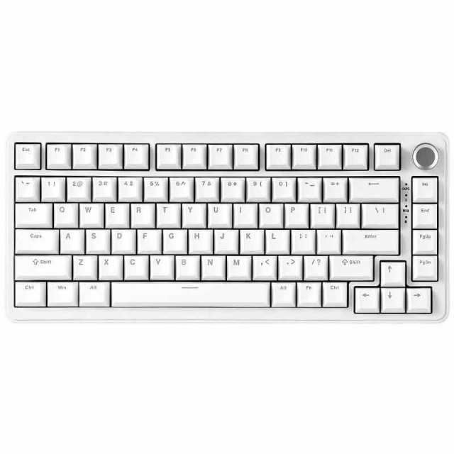 YUNZII B75 75% 有線 メカニカルキーボード ホットスワップ対応 ガスケット搭載 RGBバックライト 高耐久 英語配列 PBTキーキャップ チェリープロファイル Win/Mac用 (RGBミルクV2リニアスイッチ, ホワイト)の通販は