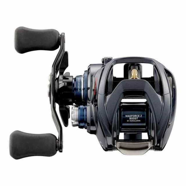 ダイワ(DAIWA) 21 スティーズ A TW HLC 7.1L