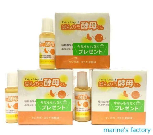 天然古渡香料原木 88g 【インドネシア カリマンタン 寸聞多羅】 【公式