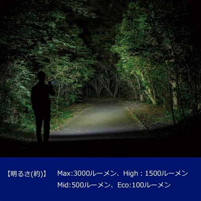 GENTOS(ジェントス) LED 懐中電灯 USB充電式 【明るさ3000ルーメン/実用点灯2時間/耐塵/耐水/1m防水】 専用充電池使用 T-レックス TX-300