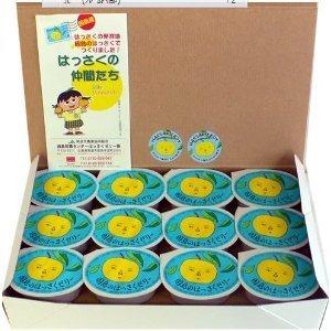 因島産八朔の果肉入りゼリー【78g×24個】
