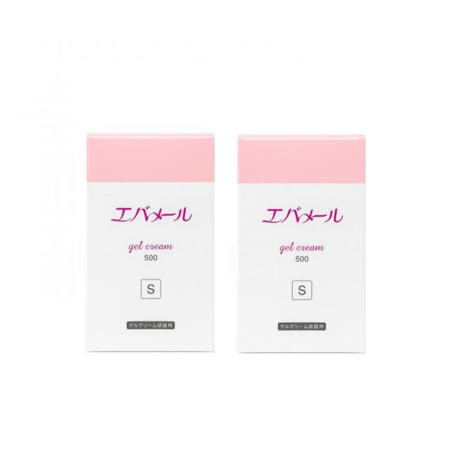 エバメール ゲルクリーム 詰替え用Ｓ 500ml 2個セット【メーカー生産・追跡番号記載あり】