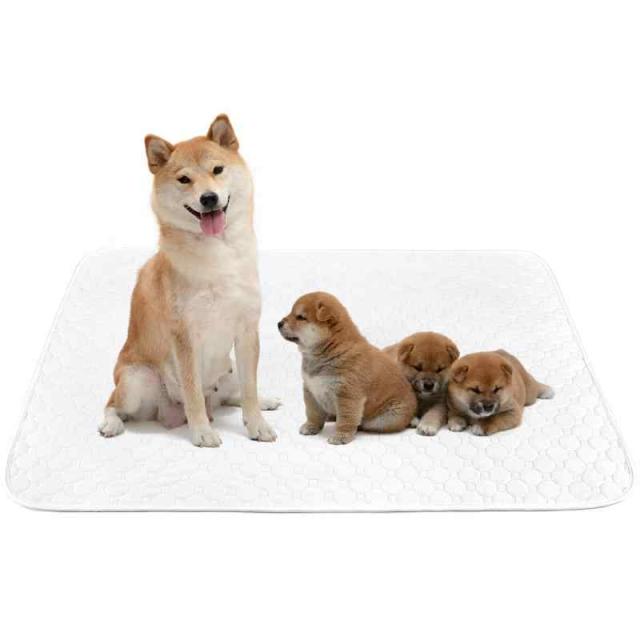 ペットシーツ 洗える 猫 犬用 おしっこパッド ペット用 トイレ下敷きマット 速乾 洗える 大判サイズ 多頭飼いに最適 (XL(2枚セット), ホワイト)の通販は
