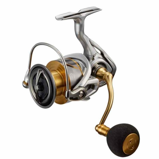 ダイワ(DAIWA) 21 フリームス LT5000-CXH