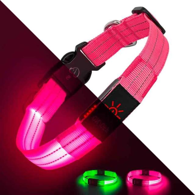 Light Up Dog Collars, LED Dog Collar Light Adjustable USB Rechargeable Super Bright Safety Light Glowing in The Dark Reflective