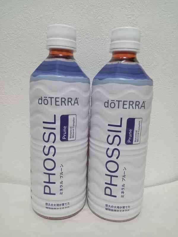 カリス サンダルウッド スピカトゥム チップ カット CUT 500g ※食用