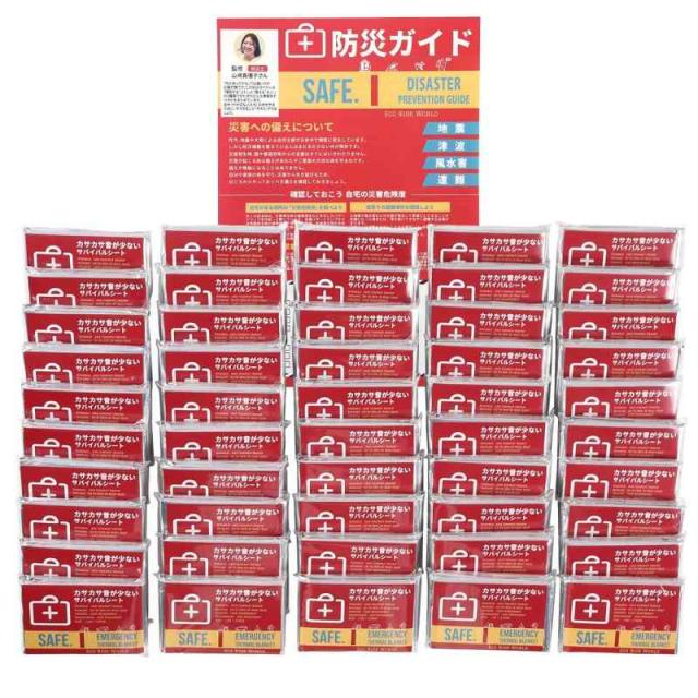 エム・デー・エスフォークDE電力変換器100V 赤プラグタイプ 1セット〔代引不可〕 エム・デー・エスフォークDE電力変換器100V 赤プラグタイプ 1セット