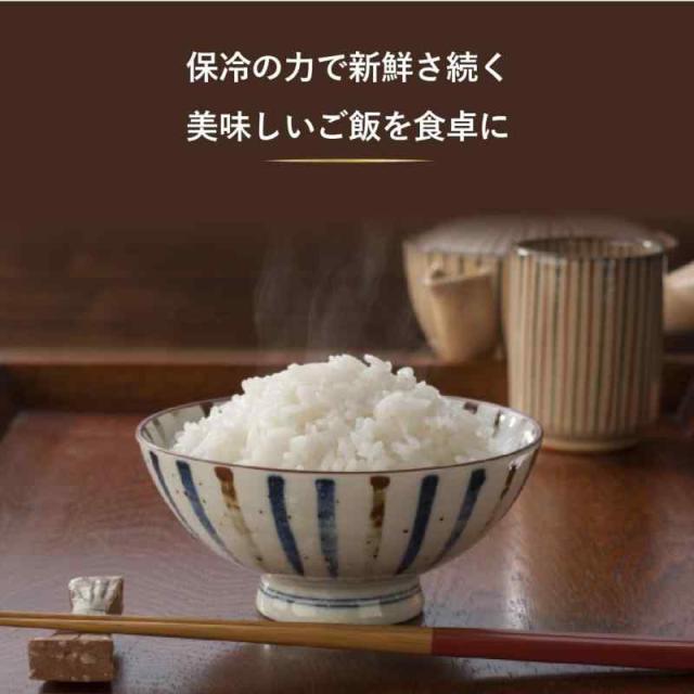 SaiEL Rice Cooler SLI-RC31 31kg