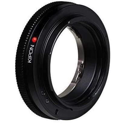 新到着 FUJIFILM (約5,500枚撮影) バッテリー×2 ボディ X-S10 デジタルカメラ