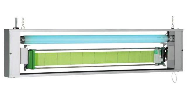 T12Ex．【グァバ界の二番目新品種】超超超貴重な“帝王グァバ