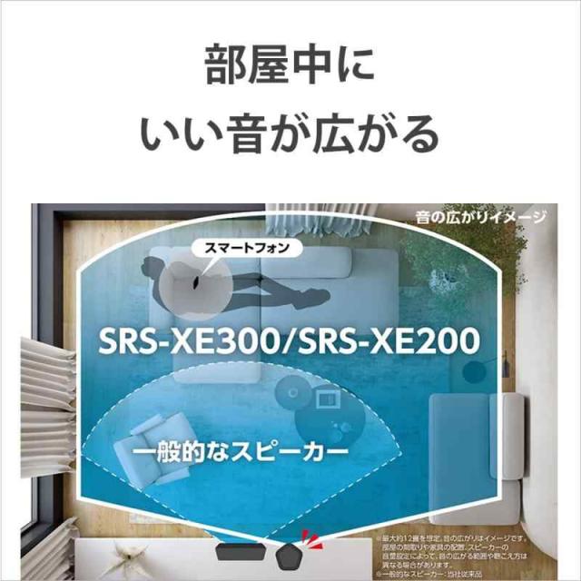 ソニー ワイヤレススピーカー SRS-XE200 :防水 IP67/広いリスニングエリア/ハンズフリー通話/ロングバッテリー16時間/SRS-XE200 BC ブラック_2