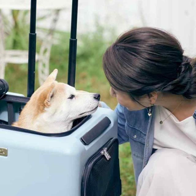 PETiCO[ペチコ]ICO ペットキャリー ペットカート ストッパー機能搭載 ペットとおでかけ 犬 猫 小型犬 中型犬 (ピンクベージュ×ホワイト, Large)_1