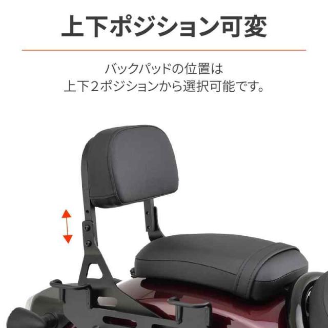 デイトナ(Daytona) レブル1100/DCT/T(21-23)専用 バックレスト ライダー&タンデム対応 リバーシブルバックレスト 17798_2