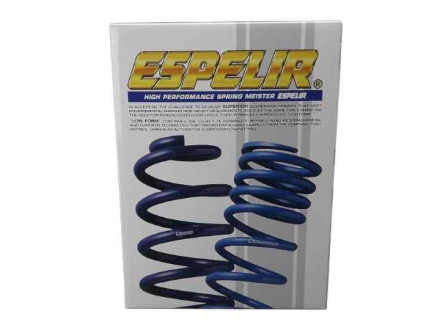 ESPELIR (エスペリア) DOWNSUS スズキ ハスラー MR41S 4WD CVT 2型 J