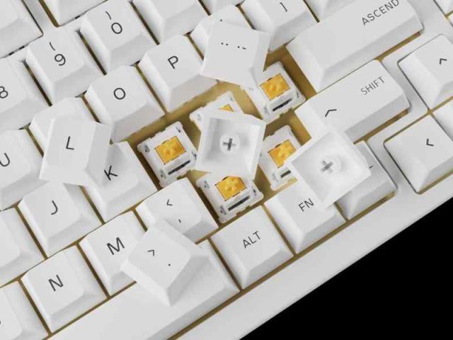 Glorious グロリアス PBT キーキャップ 白 英語配列 フルサイズ テンキーレス コンパクト 全サイズ対応 100% 96% 85% 75% 65% 60% ゲーミング メカニカルキーボード 114キー keycaps pbt_2