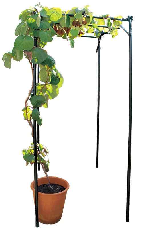 第一ビニール くだもの棚セット KT-M幅120cm×奥行180cm×設置高さ180cm | DAIM パーゴラ 果物棚 セット 幅120cm 奥行180cm 高さ180cm