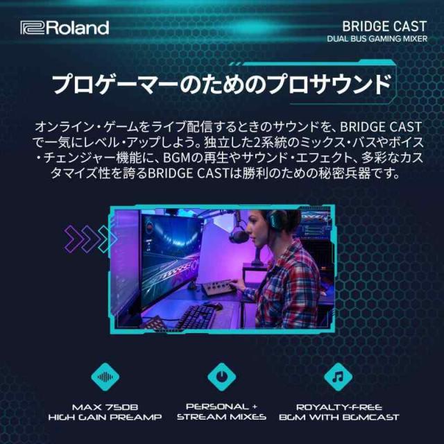 ローランド Roland BRIDGE CAST/ゲーミングDACアンプ/オーディオインターフェース/配信/ゲーミングミキサー/オーディオミキサー/Mac/Windows/ブリッジキャスト/黒/Black_2
