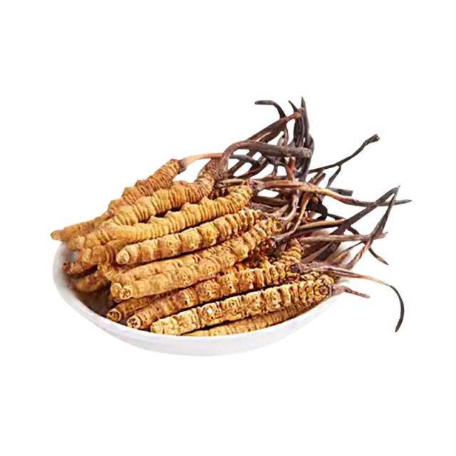 冬虫夏草 はっきりとした輪紋 完全な形 甘く柔らかな風味 チベット原産地特産 中国食品 年寄りプレゼント 祝辞の贈り物 誕生日 母の日 父の日 ギフト（10ルーツ）