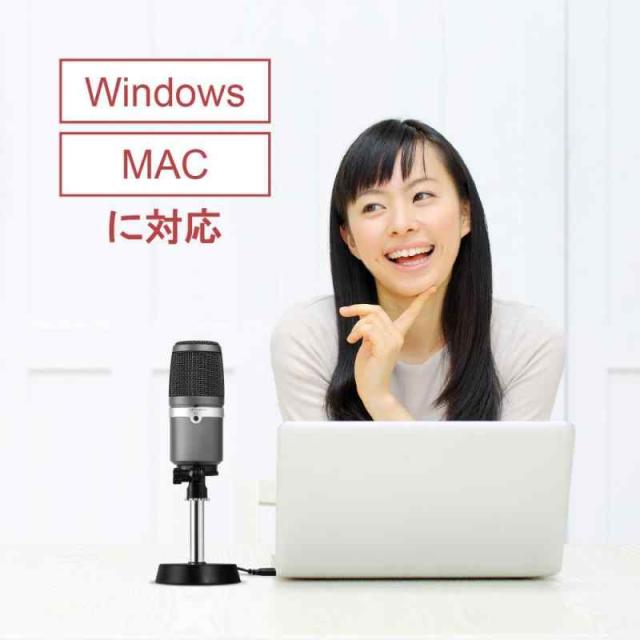 AVerMedia USBマイクロホン AM310 [ゲーム実況/ライブ動画配信 配信/録音に向いているコンデンサーマイクロホン 単一指向性マイク] SP751_2