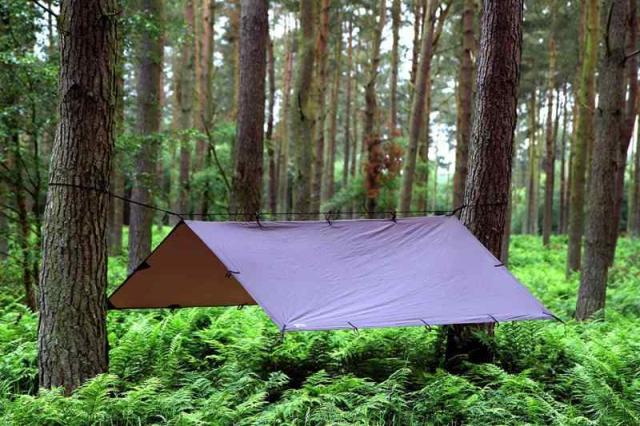 超激安DD Hammocks DD タープ 3×3 (コヨーテブラウン) [並行輸入品]が