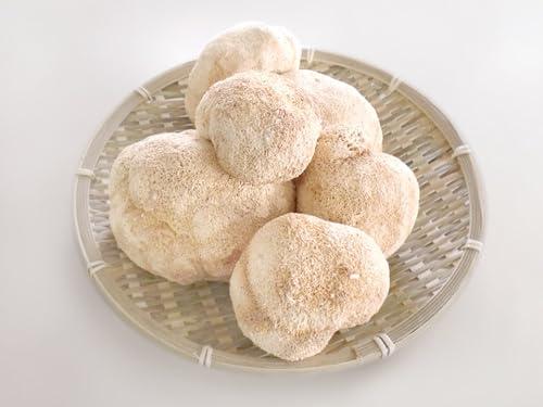健康・野草茶センター 国産 ヤマブシ茸 100％パウダー (100gx4個)_2