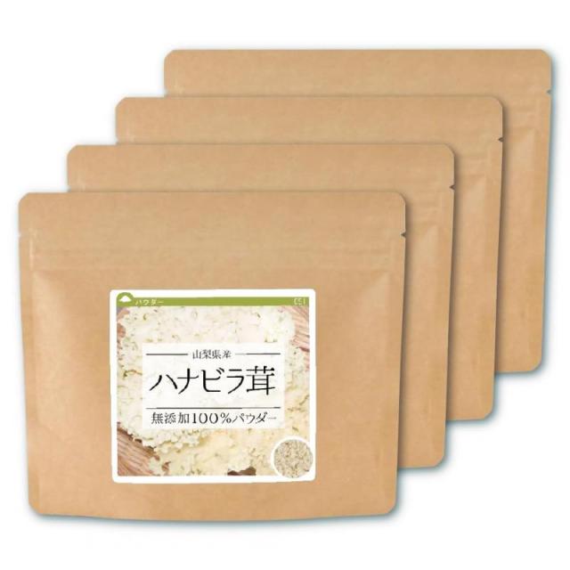 健康・野草茶センター ハナビラ茸 国産 100%パウダー (40gx4個)