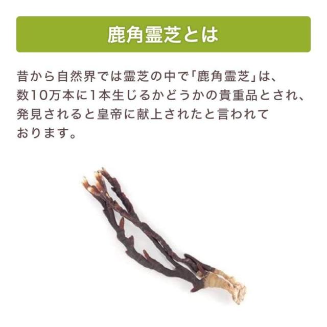健康・野草茶センター 国産 鹿角霊芝 100％ パウダー (40gx4個)_2