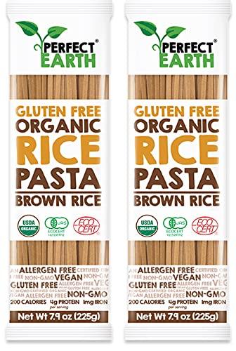 グルテンフリー ライス パスタ 玄米 有機 JAS認定 無添加 オーガニック 低糖質 米粉パスタ PERFECTEARTH(パーフェクトアース) 225グラム (x 2)