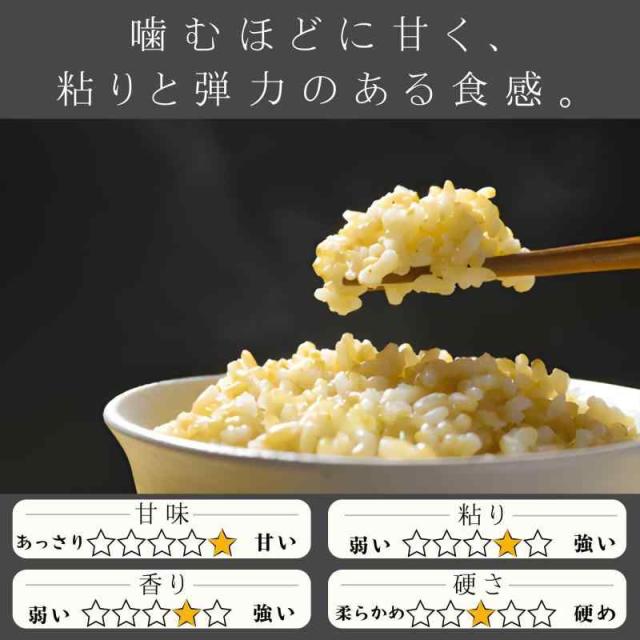 丹波篠山 食宝米 玄米 兵庫県産 食味ランキング6年連続特A受賞 皆が知らない日本の食宝 (玄米 5kg)_2