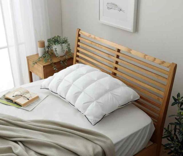 イケヒコ 寝具 枕 ピロー 雲枕 クラウディア アイボリー 約43×63cm カバー付き 洗濯可能 ふわふわ 睡眠 安眠 清潔 オールシーズン ＃1195550013029