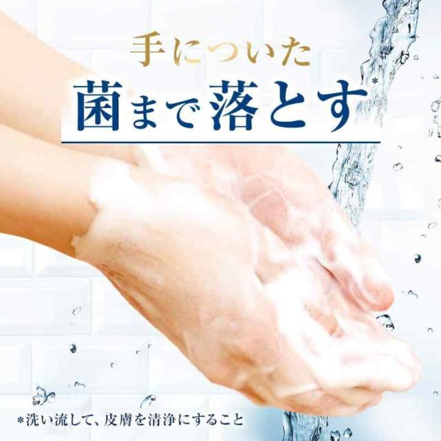 Dove(ダヴ)泡 ハンドソープ ハンドウォッシュ ディープ モイスチャー ホワイトソープの香り つめかえ用 詰替え用_2