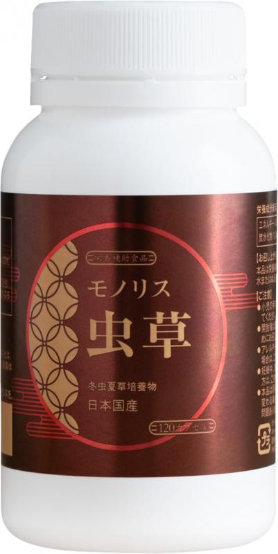 新品】ワークマン ペルチェベス 2025年モデル ICE×HEATER 熱中症