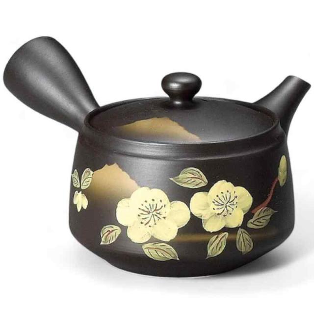 J-kitchens 急須 陶器 常滑焼 モダン スタイリッシュ 300cc （プレミアム茶こし） 日本製