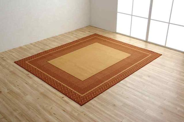 イケヒコ ラグ カーペット ダイニングラグ カントネ (220 x 180 cm (長方形), ブラウン)