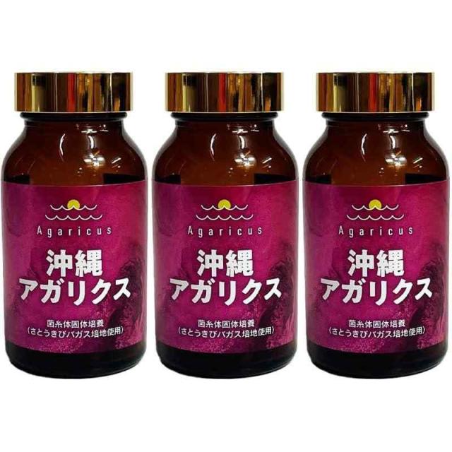 2個 養健麗茶 リブメール ダイエット茶 キャンドルブッシュ ごぼう茶