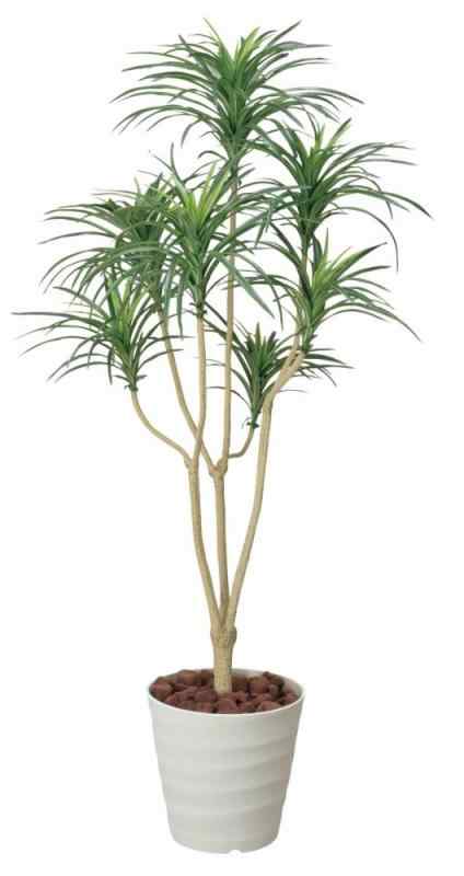 光触媒 人工観葉植物 光の楽園 ユッカ 1.6m 173A250