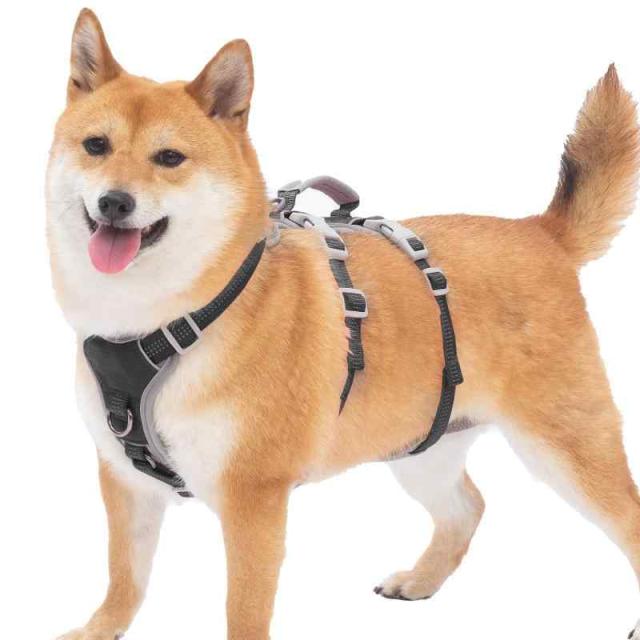 Huntboo 犬 ハーネス 小型犬 中型犬 大型犬 犬用ハーネス 犬用胴輪 抜けない 脱出防止 ハンドル サイズ調整可能 夜間反射 簡単着脱 ソフト 防水 散歩 トレーニング (XL, ブラック)