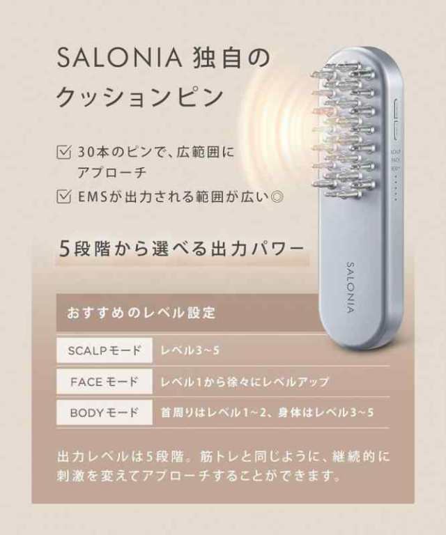 電気ブラシ EMS リフトブラシ 美顔器 リフトアップ 電気バリブラシ SAL22206SL