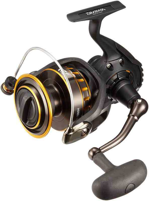 ダイワ(DAIWA) スピニングリール 16 BG 5000H (2016モデル)